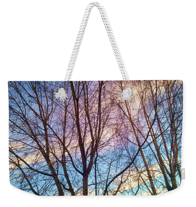 Trees Weekender Tote Bag featuring the photograph Paintbrush by Chris Dunn