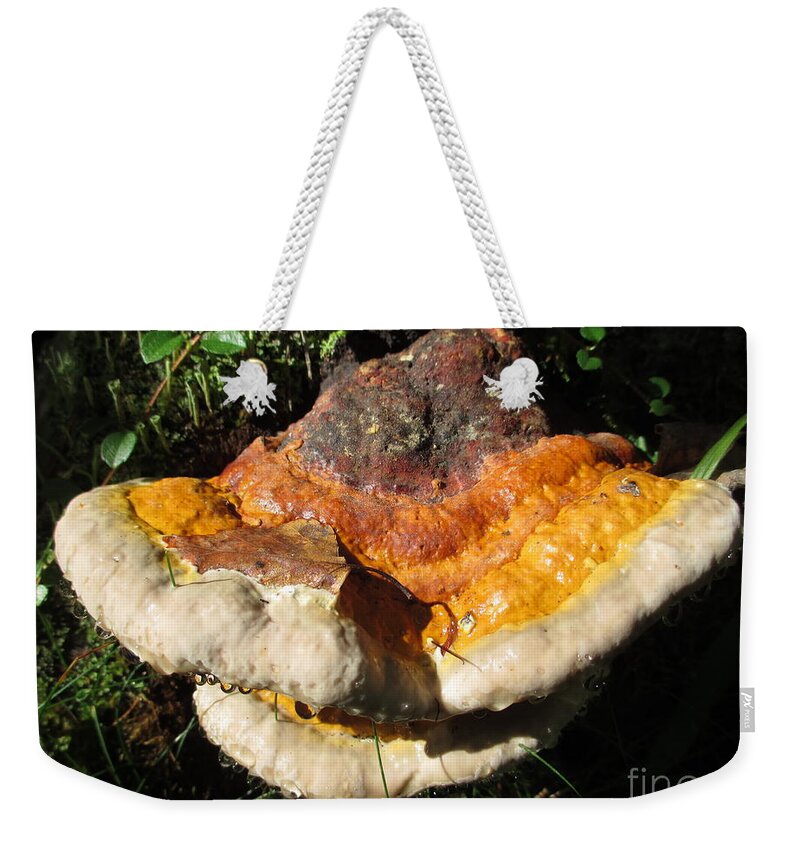 Fungus Weekender Tote Bag featuring the photograph Painted by Fairies by Martin Howard