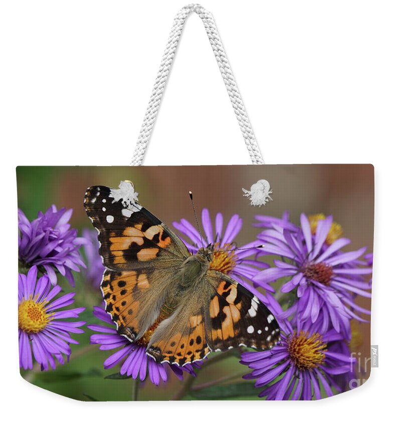 Painted Lady Weekender Tote Bag featuring the photograph Painted Lady Butterfly and Aster Flowers 6x3 by Robert E Alter Reflections of Infinity