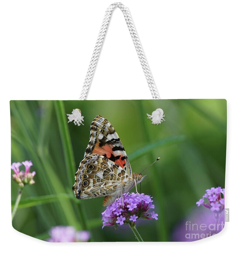 Painted Lady Weekender Tote Bag featuring the photograph Painted Lady Butterfly on Verbena by Robert E Alter Reflections of Infinity