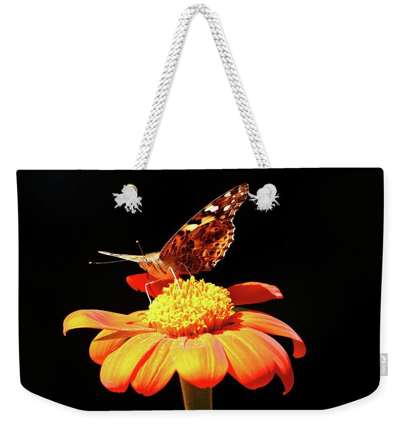 Painted Lady Weekender Tote Bag featuring the photograph Painted Lady On Mexican Sunflower by Debbie Oppermann