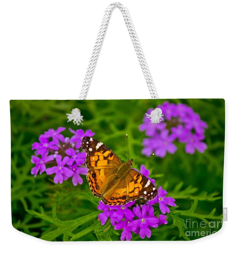 Michael Tidwell Photography Weekender Tote Bag featuring the photograph Painted Lady on Purple Verbena by Michael Tidwell