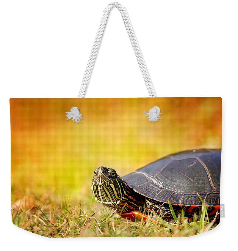 Painted Turtle Photo Weekender Tote Bag featuring the photograph Painted Turtle Print by Gwen Gibson