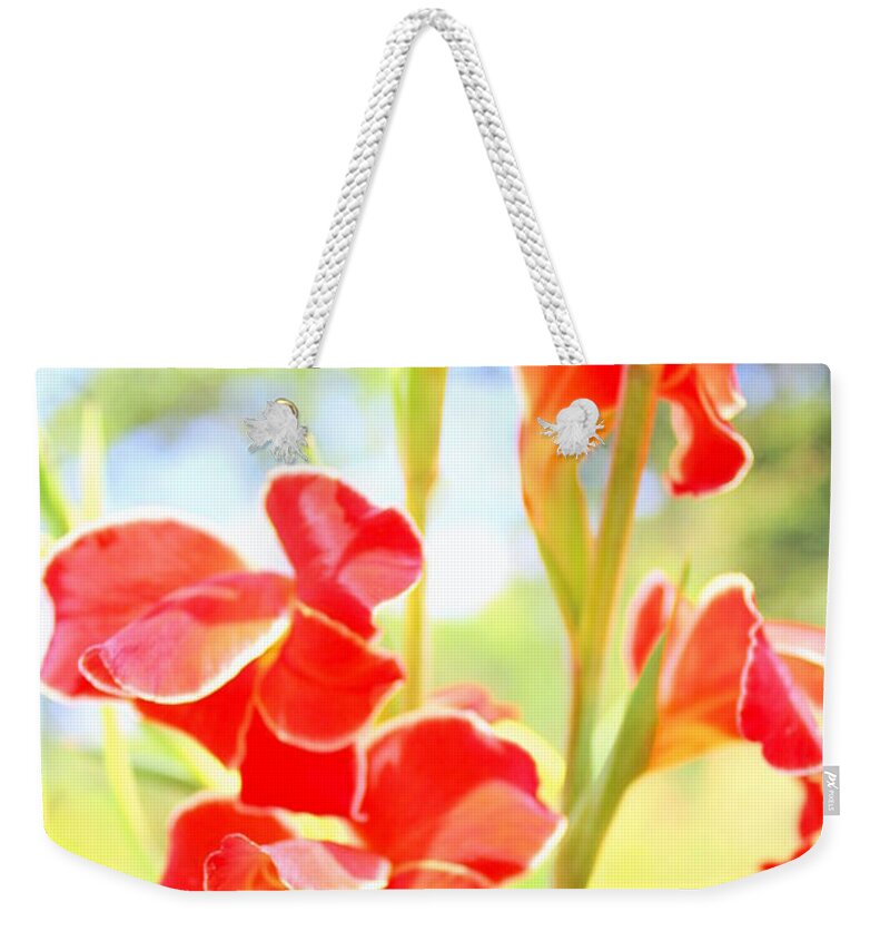 Pastel Weekender Tote Bag featuring the photograph Painter's Delight by Deborah Crew-Johnson
