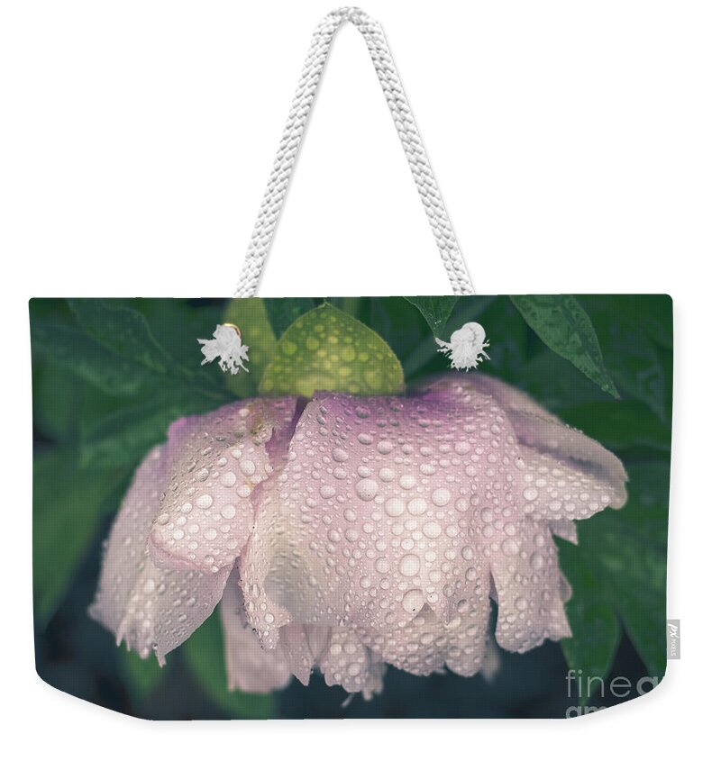 Cheryl Baxter Photography Weekender Tote Bag featuring the photograph Pale Pink Peony in the Rain by Cheryl Baxter