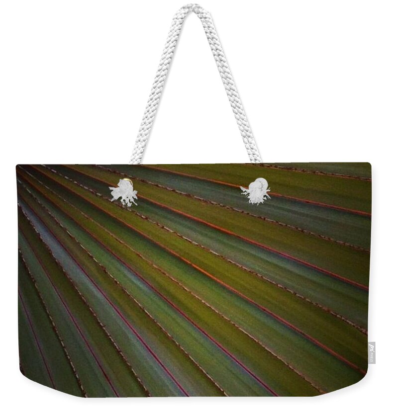 Palm Weekender Tote Bag featuring the photograph Palm by Denise Railey