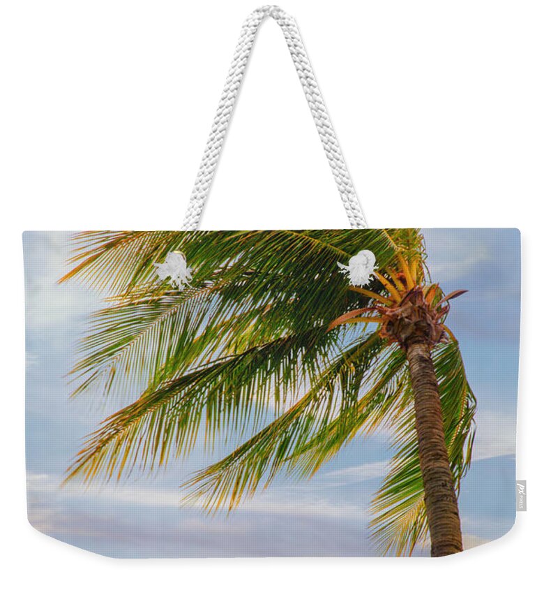 Tree Weekender Tote Bag featuring the photograph Palm In The Wind by Bill and Linda Tiepelman