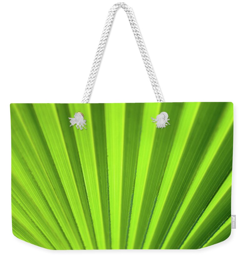 Abstract Weekender Tote Bag featuring the photograph Palm Leaf Abstract by Denise Bird