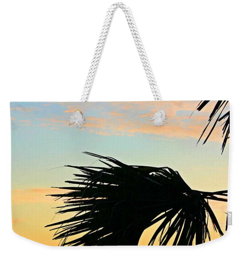 Beach Weekender Tote Bag featuring the photograph Palm Silhouette by Kristin Elmquist