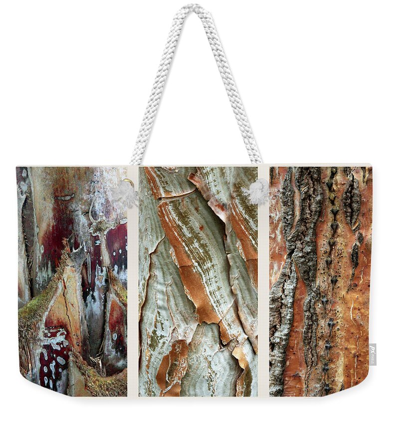 Bark Weekender Tote Bag featuring the photograph Palm Tree Bark Triptych by Jessica Jenney