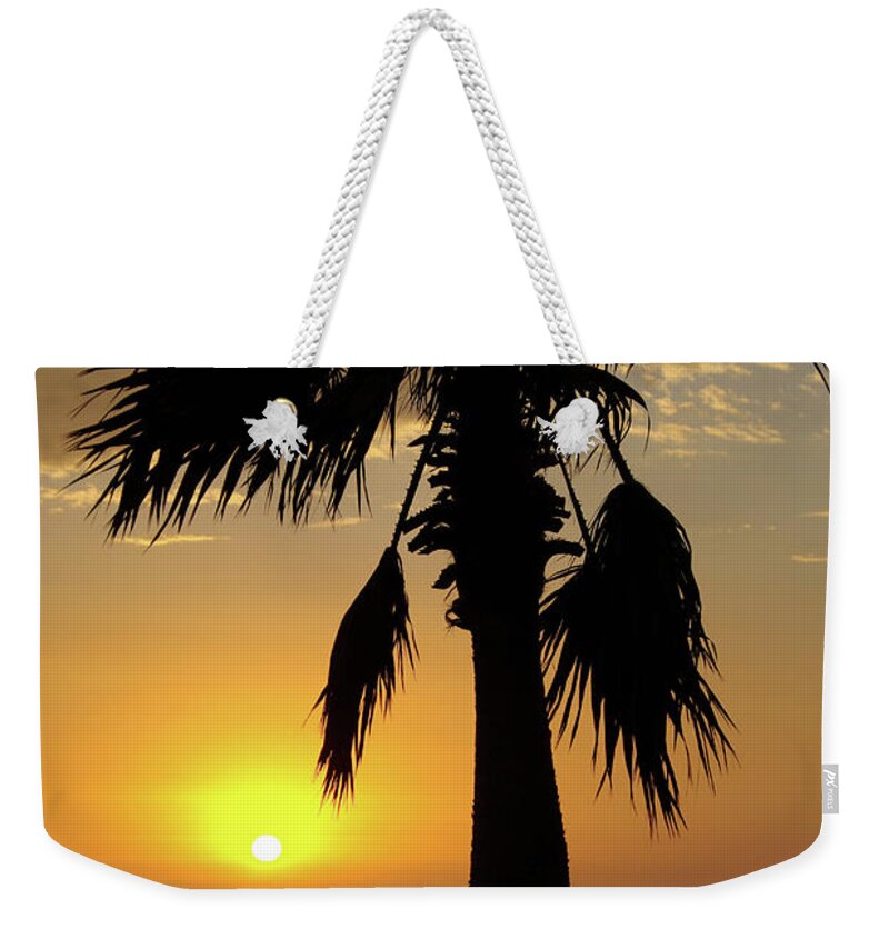 Beach Weekender Tote Bag featuring the photograph Palm Tree Sunset by Jim And Emily Bush