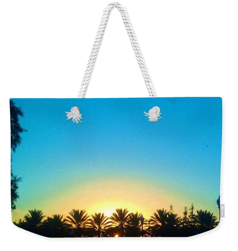 Palm Trees Weekender Tote Bag featuring the photograph Blue Sunset New Orleans City Park by Deborah Lacoste