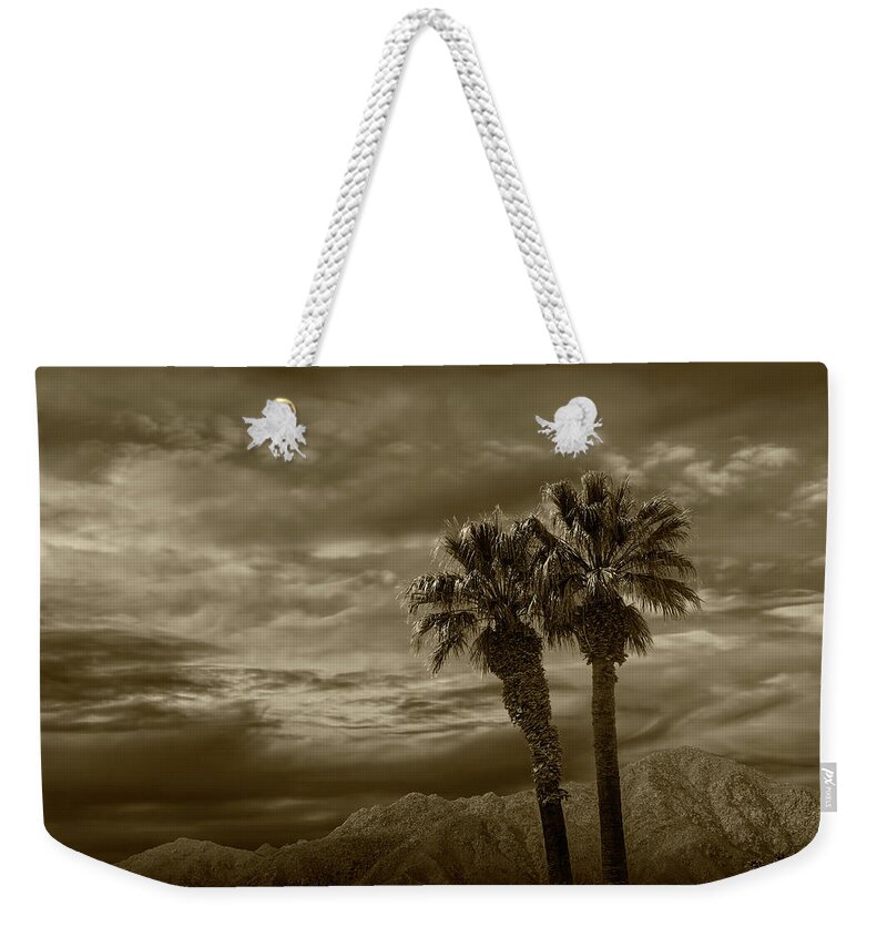 Tree Weekender Tote Bag featuring the photograph Palm Trees by Borrego Springs in Sepia Tone by Randall Nyhof