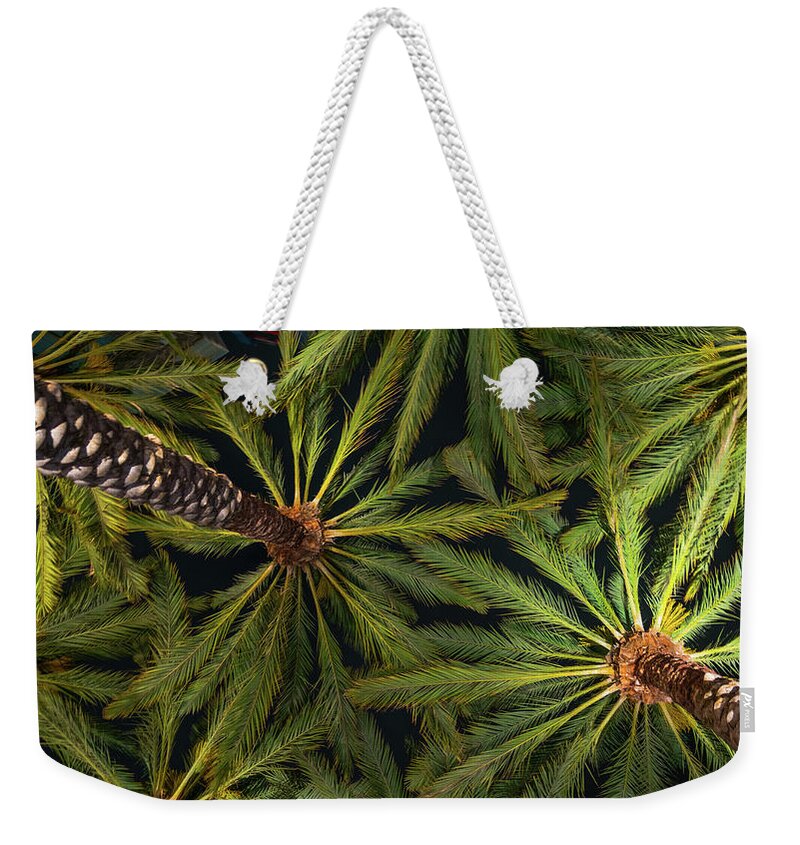 California Weekender Tote Bag featuring the photograph Palm Trees San Diego California Gaslamp Quarter by Lawrence S Richardson Jr
