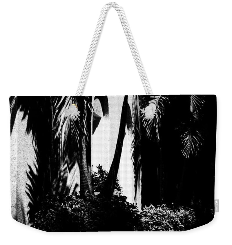  Weekender Tote Bag featuring the photograph Palms and Arches by Susan Molnar