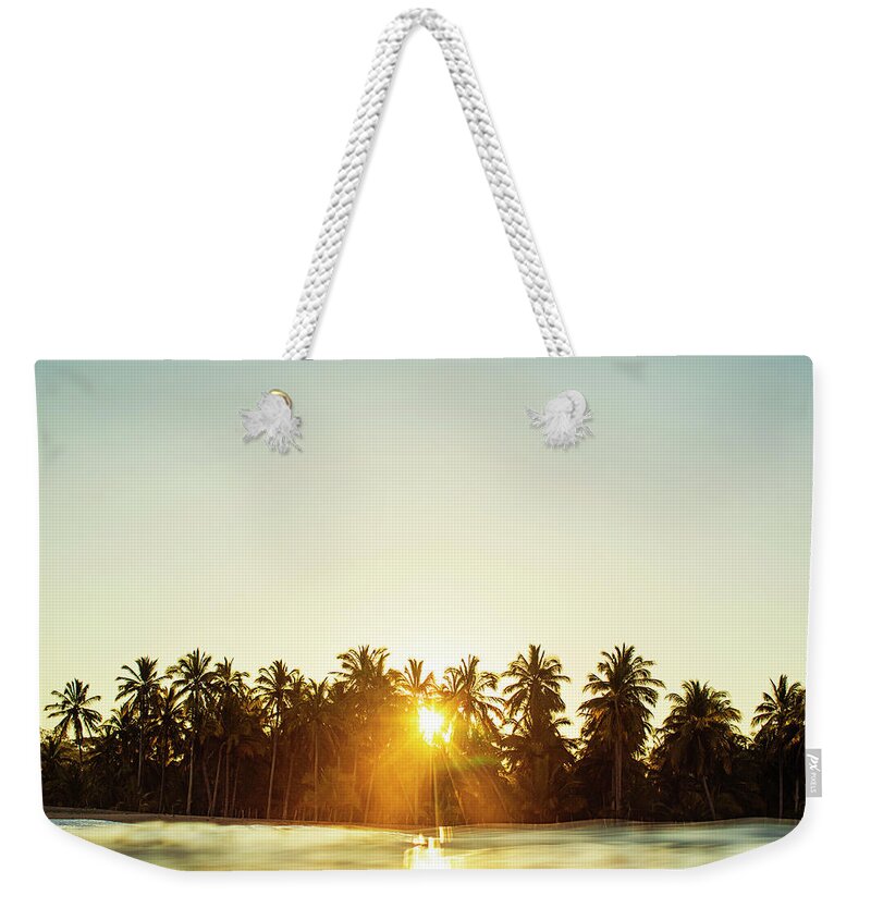 Surfing Weekender Tote Bag featuring the photograph Palms And Rays by Nik West