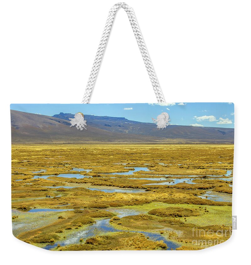 Pampas Weekender Tote Bag featuring the photograph Pampa by Patricia Hofmeester