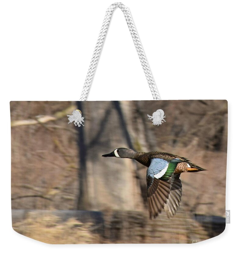 Panning For Teal Weekender Tote Bag featuring the photograph Panning For Teal by Kathy M Krause