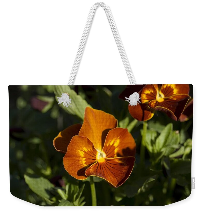 Pansy Weekender Tote Bag featuring the photograph Pansies by Sara Stevenson