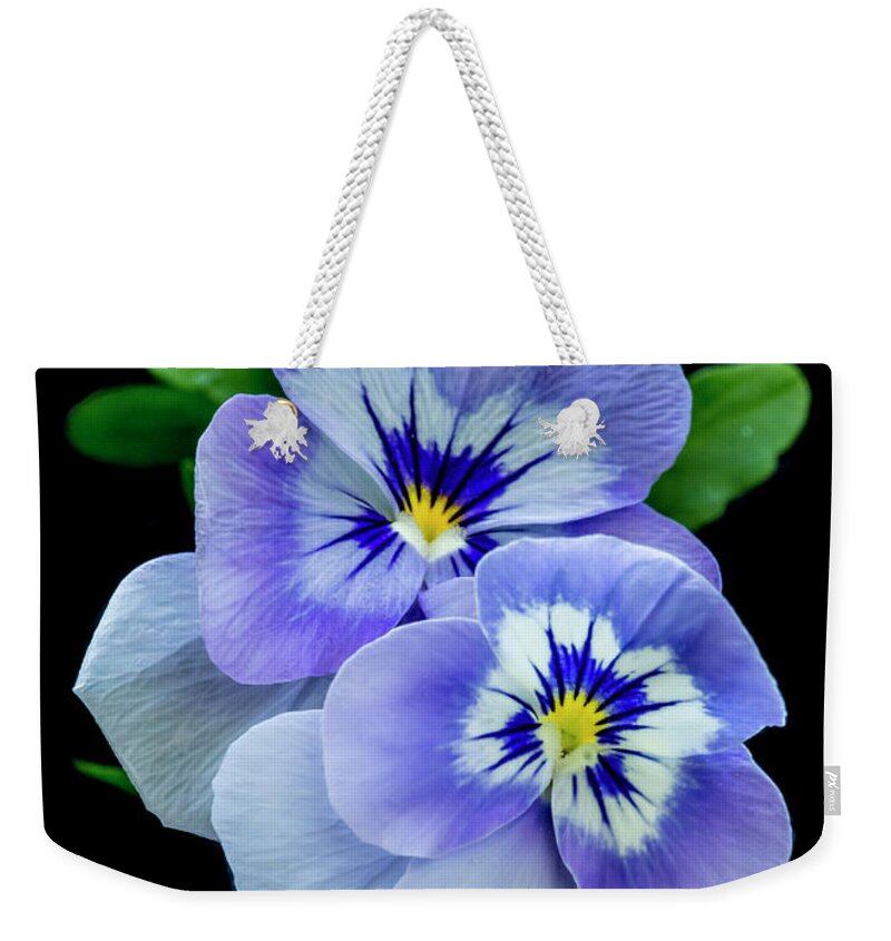Greeting Card Weekender Tote Bag featuring the photograph Pansy Portrait by Cathy Kovarik