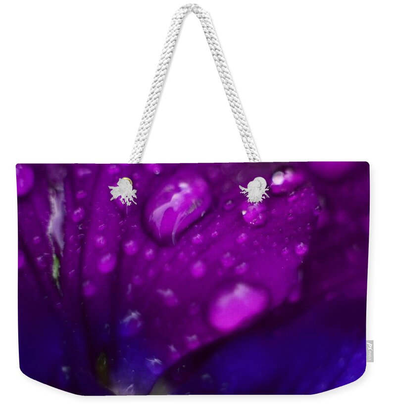 Flower Weekender Tote Bag featuring the photograph Pansy Rain Macro by Bonfire Photography