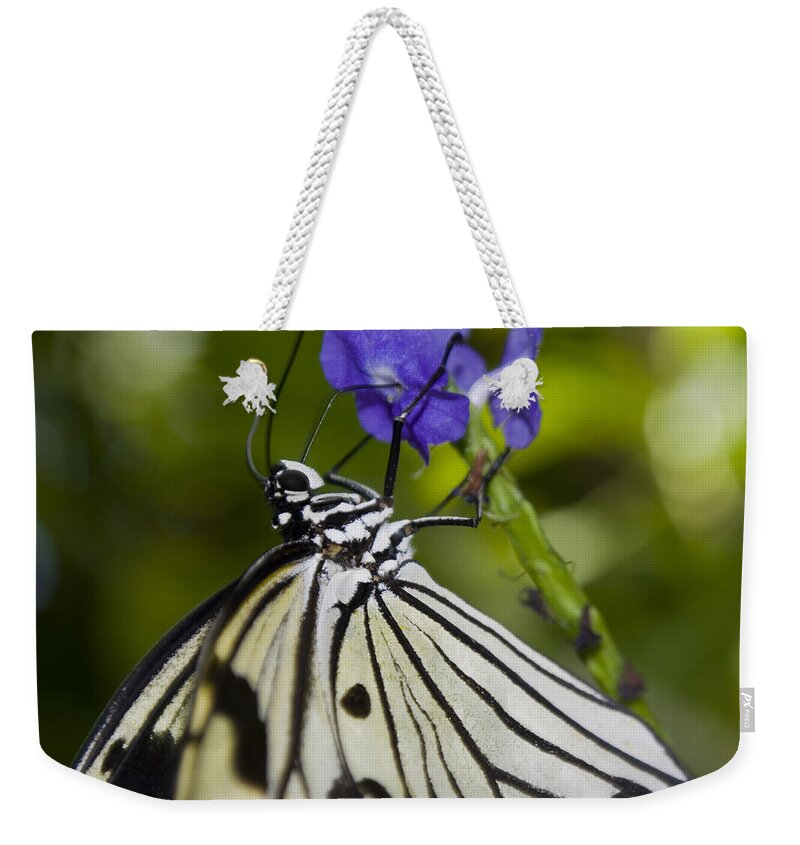 Paper Kite Butterfly Weekender Tote Bag featuring the photograph Paper Kite Butterfly by Heather Applegate