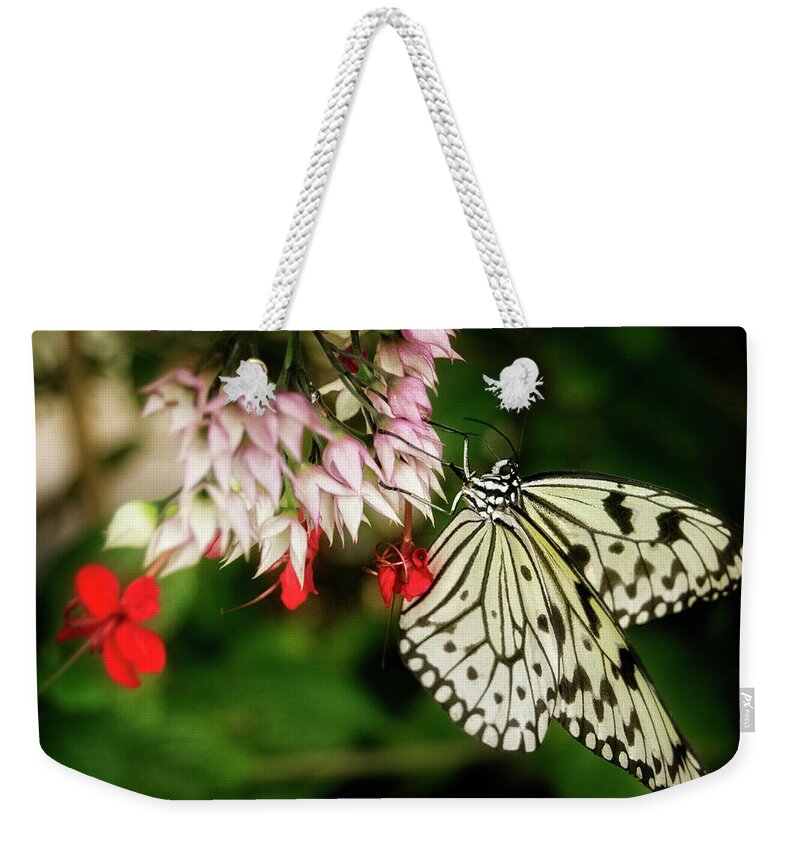 Butterfly Weekender Tote Bag featuring the photograph Paper Kite by Greg and Chrystal Mimbs