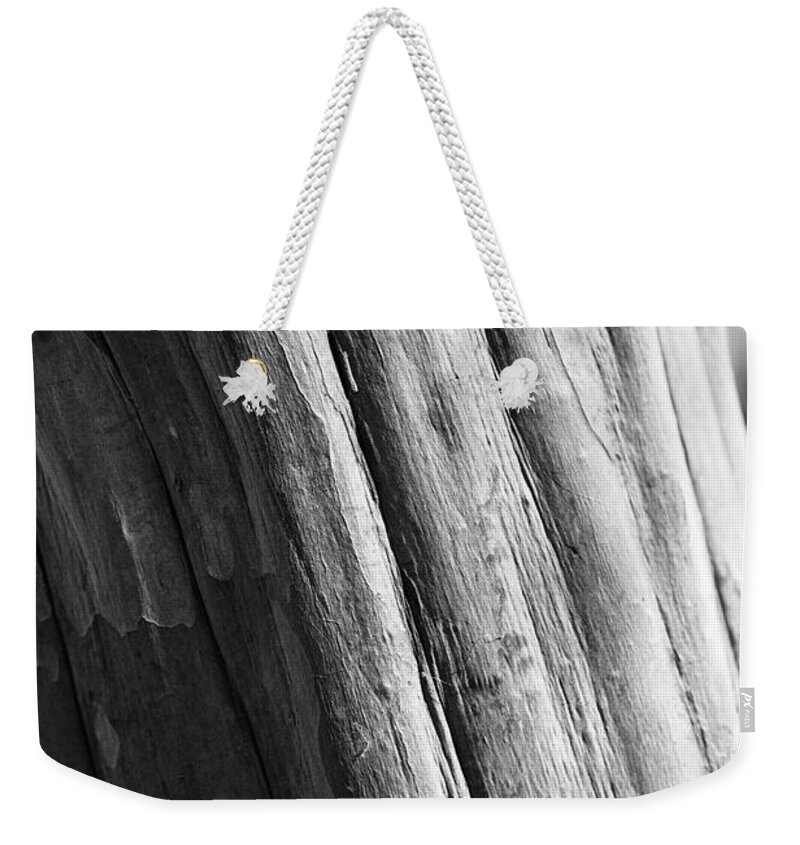 Tree Weekender Tote Bag featuring the photograph Paper by Lara Morrison