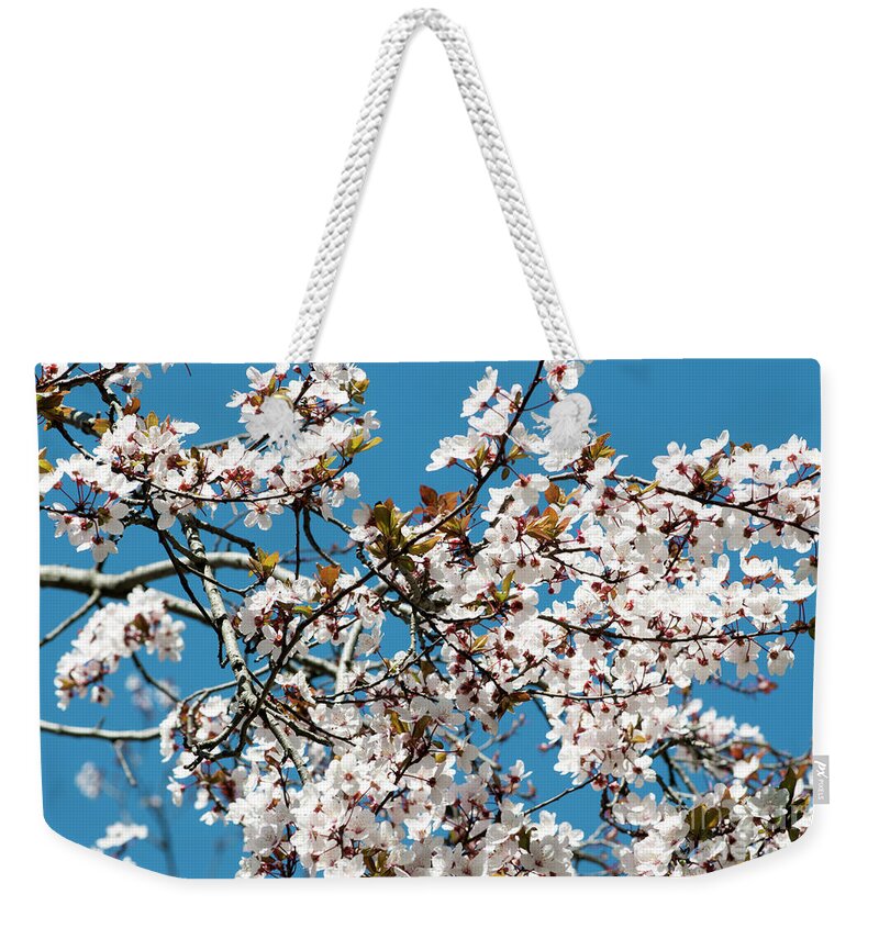 Almond Weekender Tote Bag featuring the photograph Parque Del Oeste, Madrid by Ilan Rosen