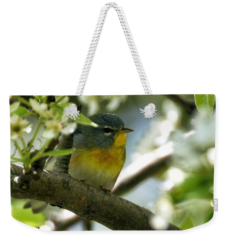 Wildlife Weekender Tote Bag featuring the photograph Parula in a Pear Tree by William Selander
