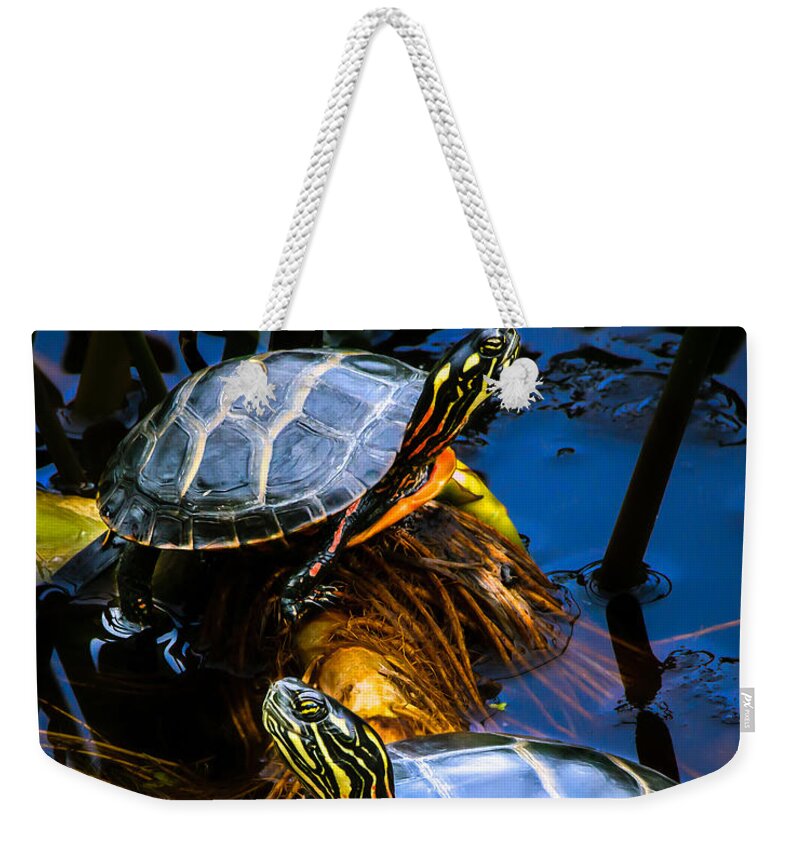 Reptile Weekender Tote Bag featuring the photograph Passing the day with a friend by Bob Orsillo
