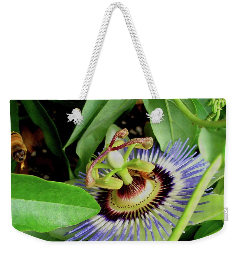 Passion Flower Weekender Tote Bag featuring the photograph Passion Flower by Allen Nice-Webb
