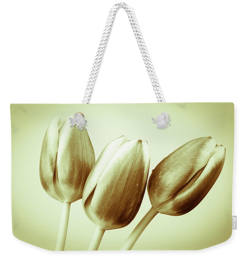 Artistic Weekender Tote Bag featuring the photograph Vintage Tulips by Tanya C Smith