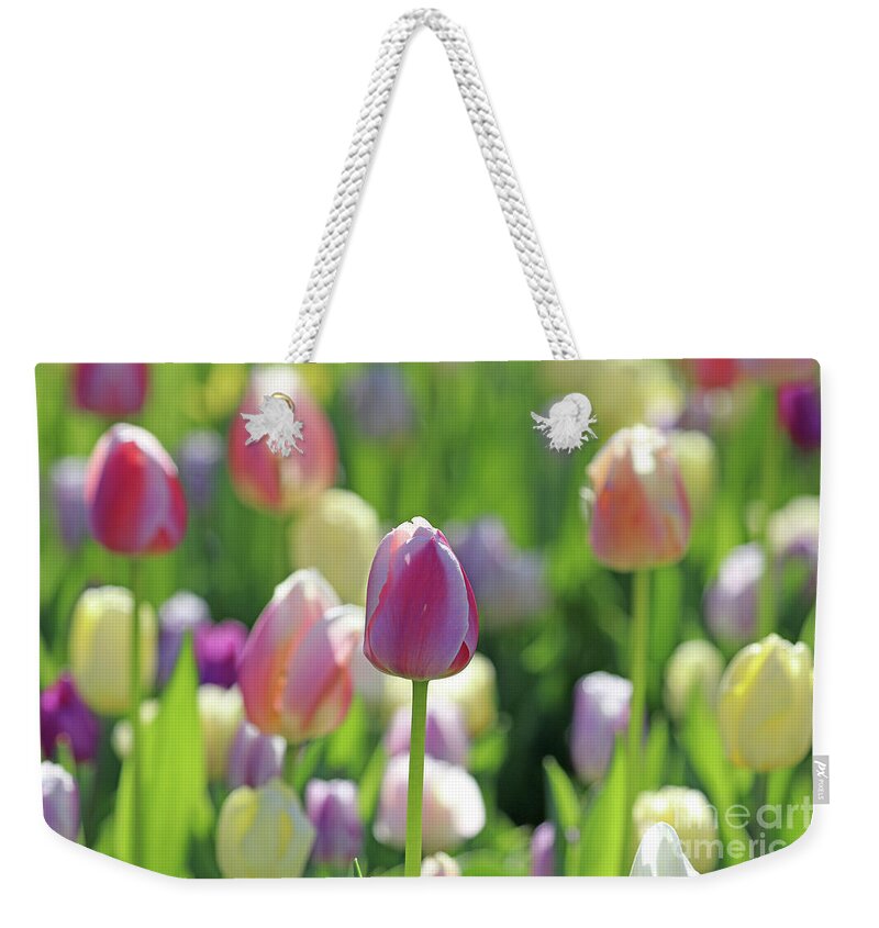 Tulips Weekender Tote Bag featuring the photograph Pastel Beauty 0478 by Jack Schultz