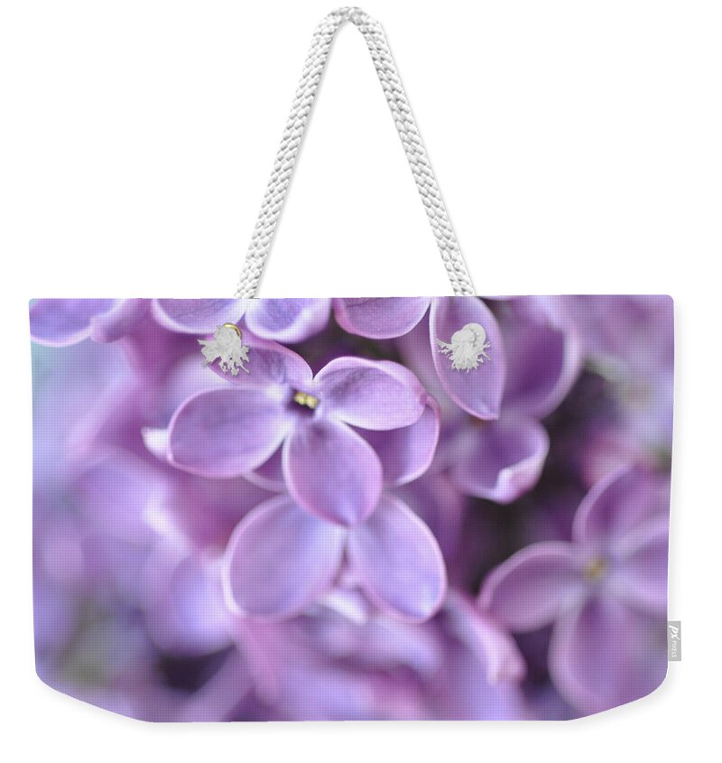 Lilacs Weekender Tote Bag featuring the photograph Pastel Lilacs by Lisa Argyropoulos
