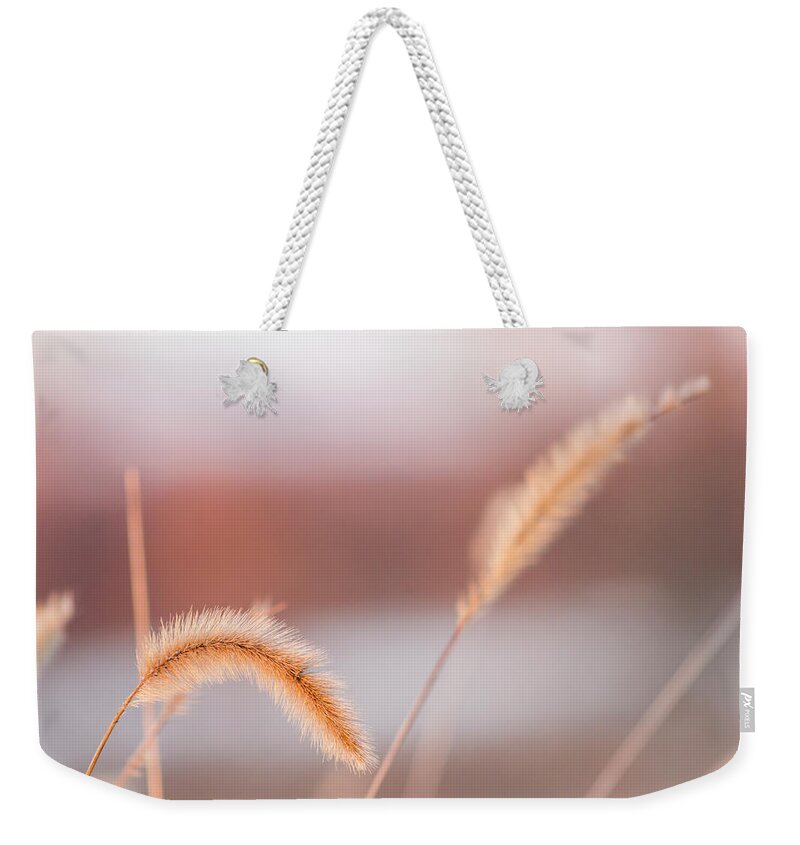 Weeds Weekender Tote Bag featuring the photograph Pastel Sunset by Holly Ross