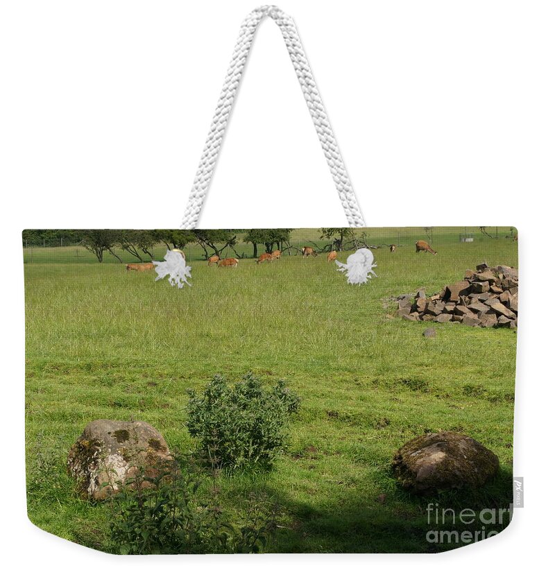 Beecraigs Weekender Tote Bag featuring the photograph Pasture. by Elena Perelman