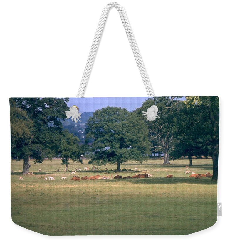 Great Britain Weekender Tote Bag featuring the photograph Pasture by Flavia Westerwelle