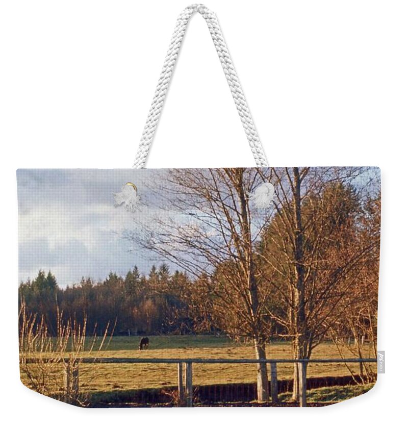 Pond Water Reflection Weekender Tote Bag featuring the photograph Pasture Pond by Laurie Stewart