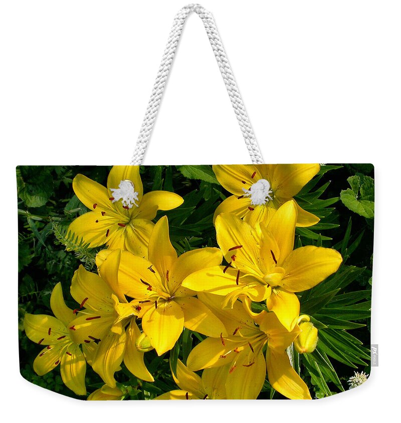 Flowers Weekender Tote Bag featuring the photograph Patch of Yellow Lilies by Sandra Huston