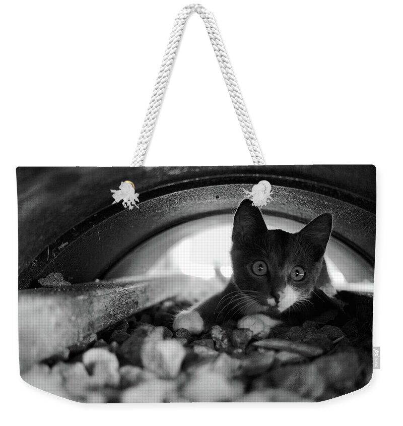 Portrait Weekender Tote Bag featuring the photograph Patches hiding BnW by Michael Blaine