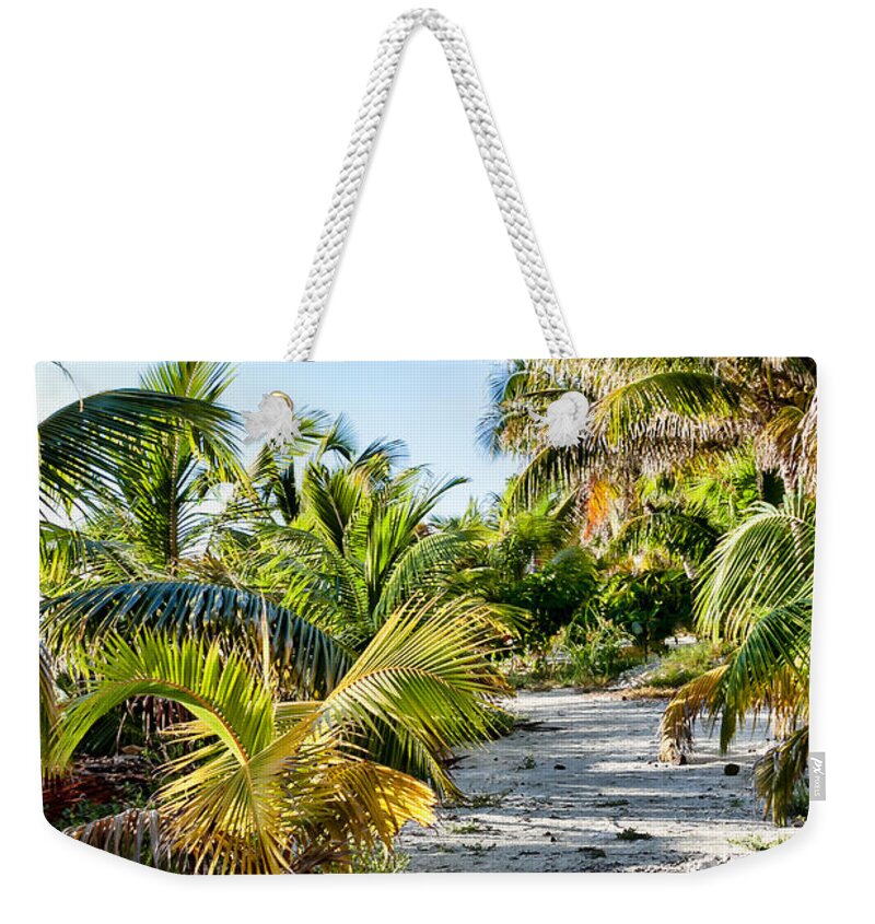 Beach Weekender Tote Bag featuring the photograph Path Along the Palms by Lawrence Burry