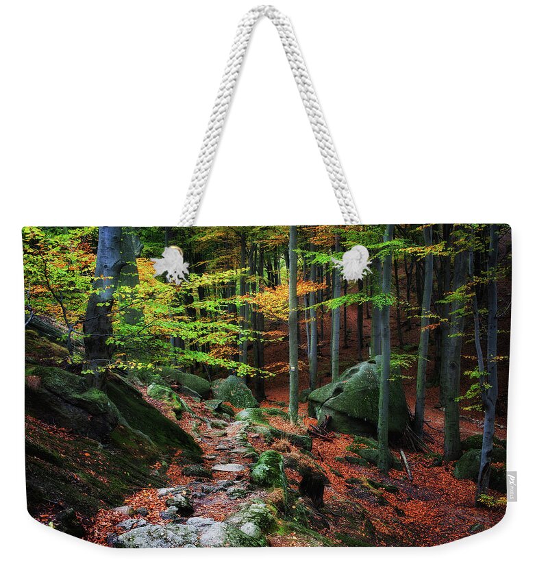 Forest Weekender Tote Bag featuring the photograph Path in Autumn Forest Picturesque Scenery by Artur Bogacki