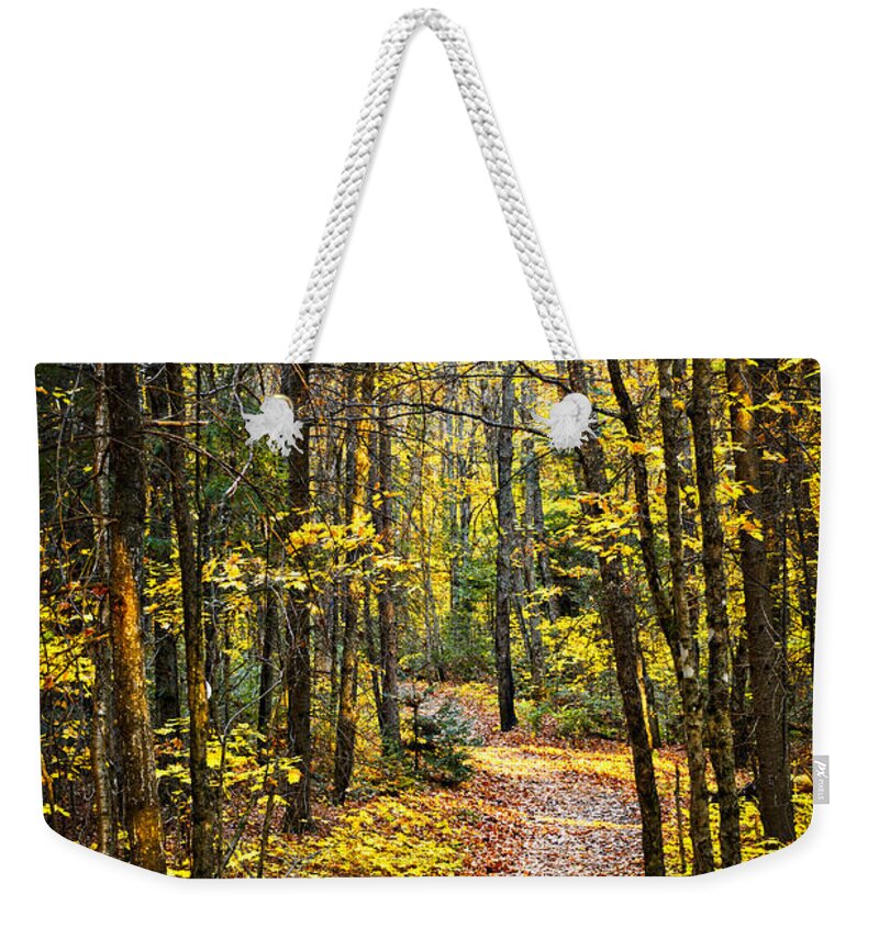 Trees Weekender Tote Bag featuring the photograph Path in fall forest 2 by Elena Elisseeva