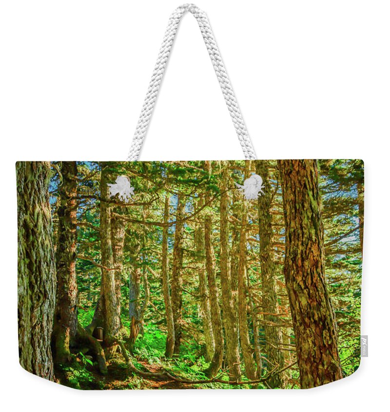 Landscape Weekender Tote Bag featuring the photograph Path in the Trees by Jason Brooks