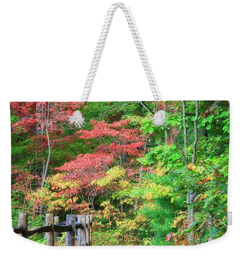 Hiking Trail Weekender Tote Bag featuring the photograph Path in the Woods by Jill Lang