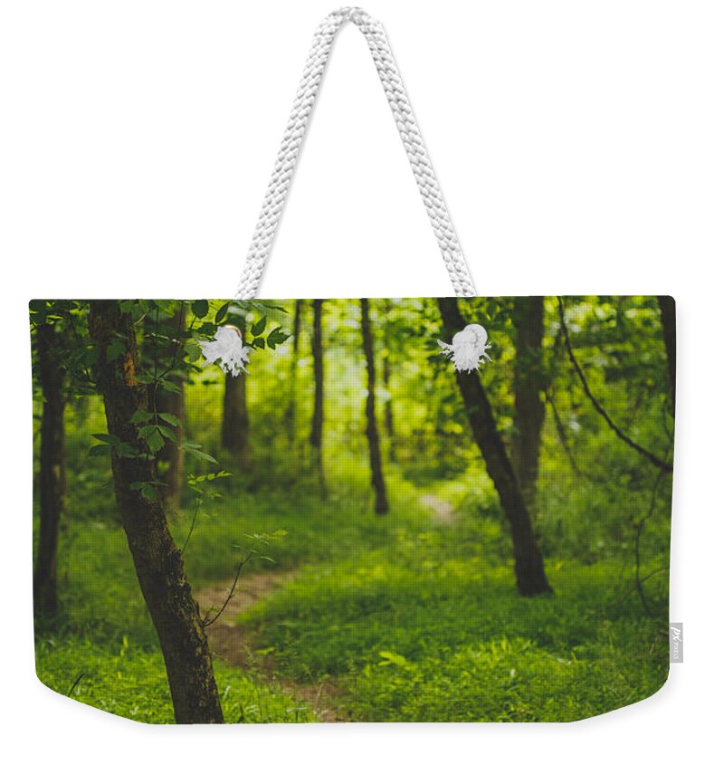 Path Weekender Tote Bag featuring the photograph Path by Shane Holsclaw