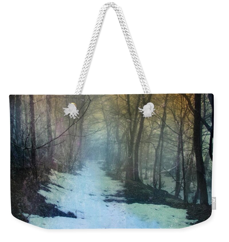 Path Weekender Tote Bag featuring the photograph Path Through the Woods in Winter at Sunset by Jill Battaglia