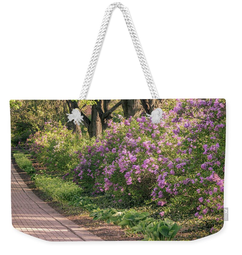 Illinois Weekender Tote Bag featuring the photograph Pathway to Beauty in Lombard by Joni Eskridge