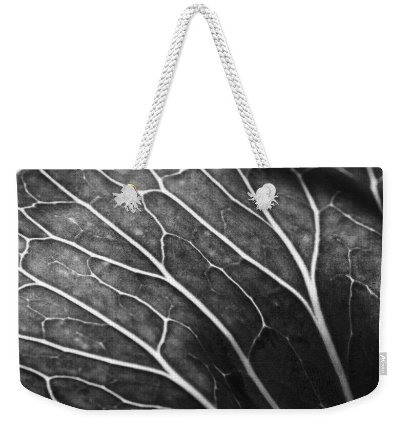 Black And White Weekender Tote Bag featuring the photograph Pathways to the Patch by Christi Kraft